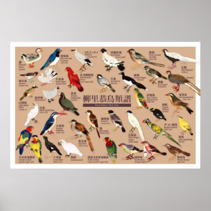 Affiche Illustration de l'Atlas vintage des oiseaux du Jap