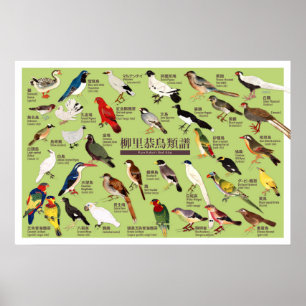 Affiche Illustration de l'Atlas vintage des oiseaux du Jap
