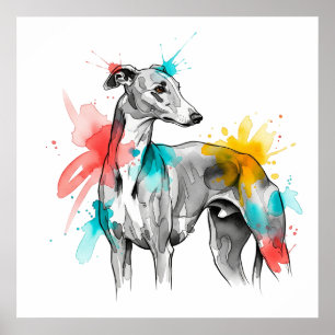 Affiche Illustration de l'éclaboussure d'encre de couleur 