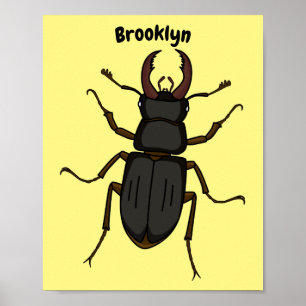 Affiche Illustration de l'insecte du dendroctone du pin