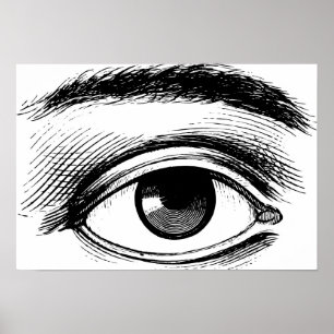 Affiche Illustration de l'oeil Vintage