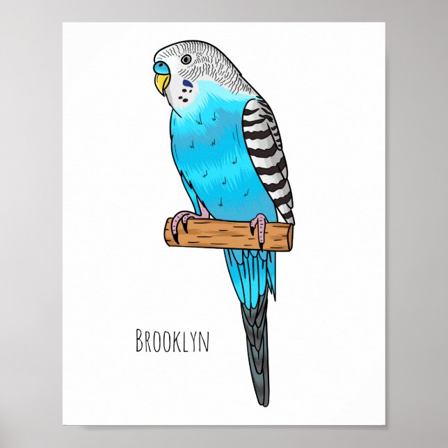 Affiche Illustration de l'oiseau bleu budgerigar (Devant)