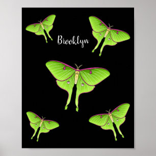 Affiche Illustration de Luna Moth