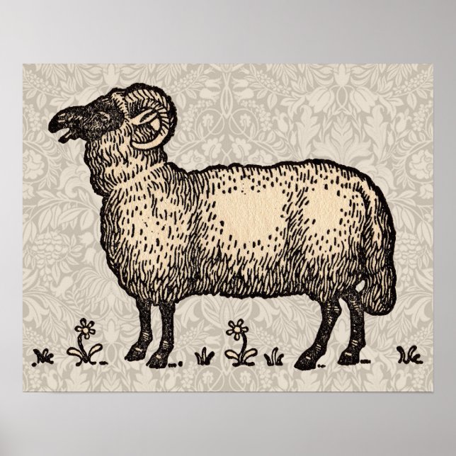 Affiche Illustration de mouton vintage : Art classique de  (Devant)