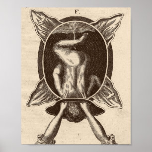 Affiche Illustration de naissance de Justine Siegemund Cou