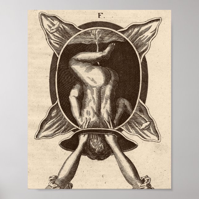 Affiche Illustration de naissance de Justine Siegemund Cou (Devant)