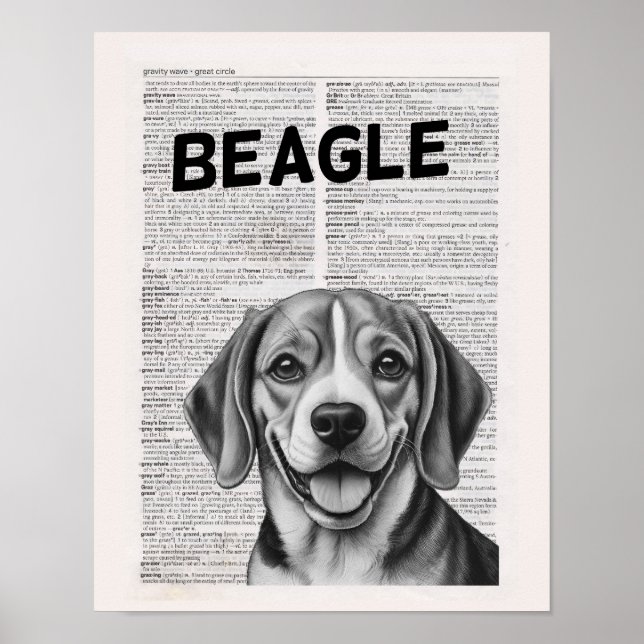 Affiche Illustration de page du dictionnaire beagle (Devant)