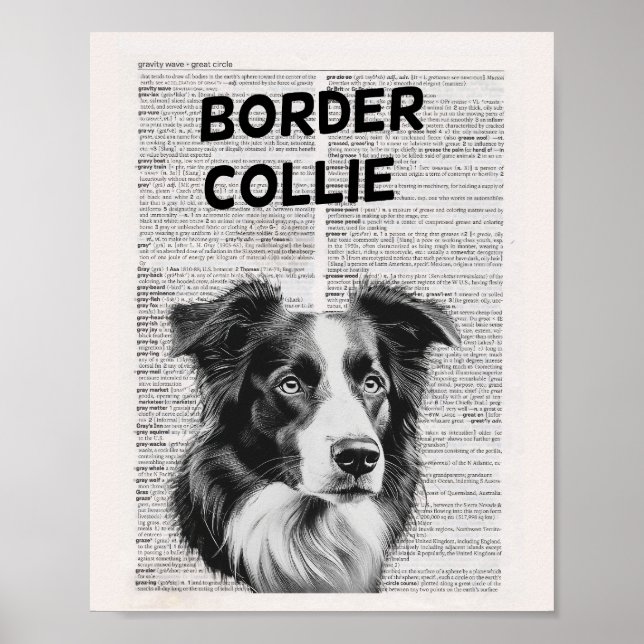 Affiche Illustration de page du dictionnaire des colonnes  (Devant)