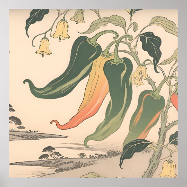 Affiche Illustration de poivre chili vintage (Devant)