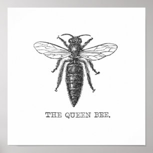 Affiche Illustration de reine abeille insecte