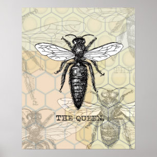 Affiche Illustration de reine abeille insecte