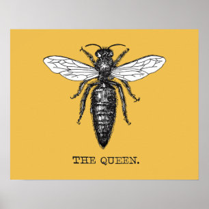 Affiche Illustration de reine abeille insecte