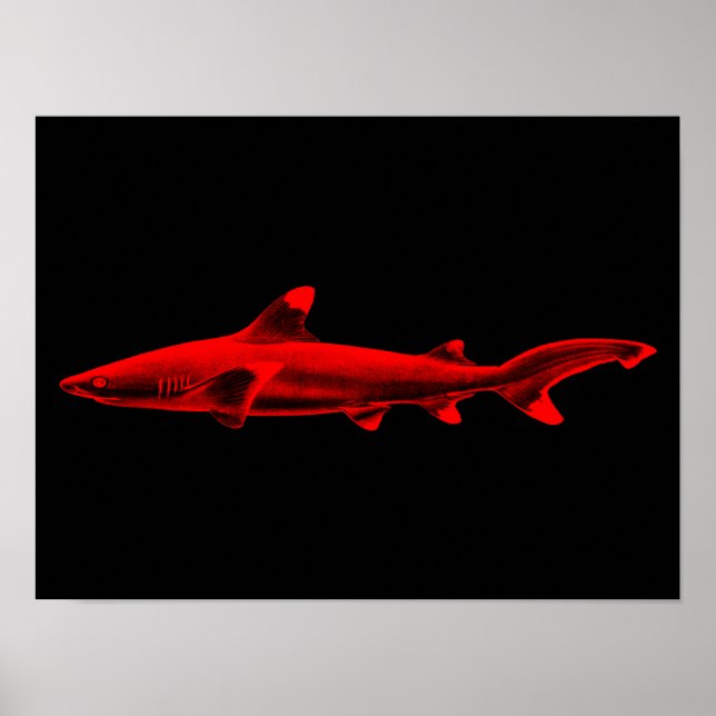 Affiche Illustration de requins noirs vintages (Devant)