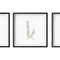 Illustration de romarin | Herbes Cuisine Mur Art