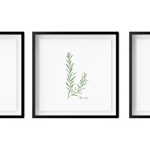 Affiche Illustration de romarin   Herbes Cuisine Mur Art