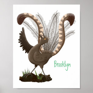 Affiche Illustration de superbe et superbe lyrebird