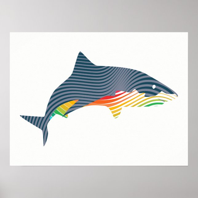 Affiche Illustration de Swoosh Shark (Devant)