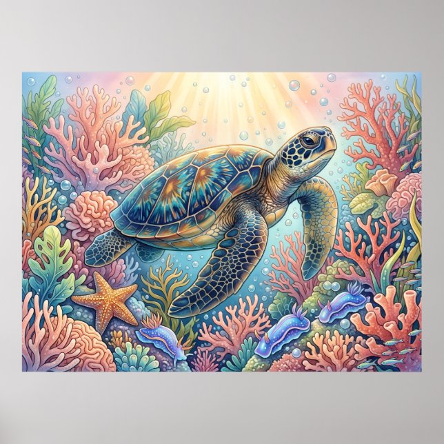 Affiche Illustration de tortue (Devant)