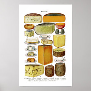Affiche Illustration de variétés de fromage victoriennes v
