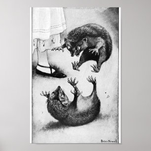 Affiche Illustration de vintage Alice au pays des merveill