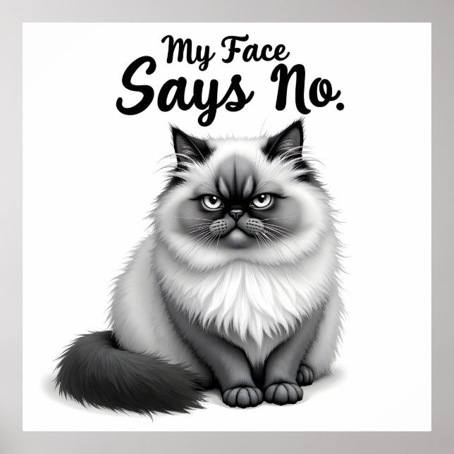 Affiche Illustration de visage de chat drôle – Art de chat (Devant)