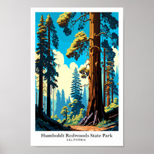 Affiche Illustration de voyage dans le parc Humboldt Redwo