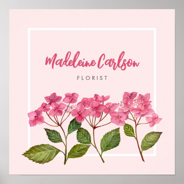 Affiche Illustration d'hydrangeas roses en aquarelle (Devant)