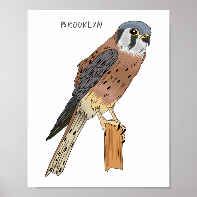 Affiche Illustration d'oiseau américain Kestrel (Devant)