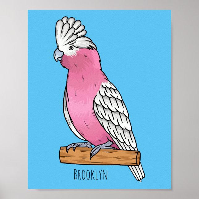 Affiche Illustration d'oiseau de Galah (Devant)
