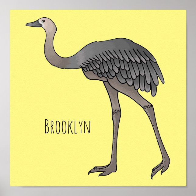 Affiche Illustration d'oiseau de rhée (Devant)