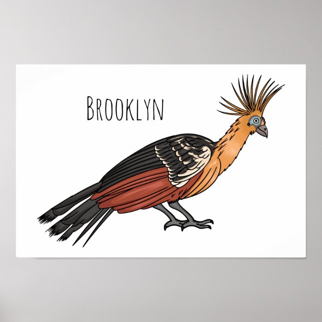Affiche Illustration d'oiseau Hoatzin (Devant)