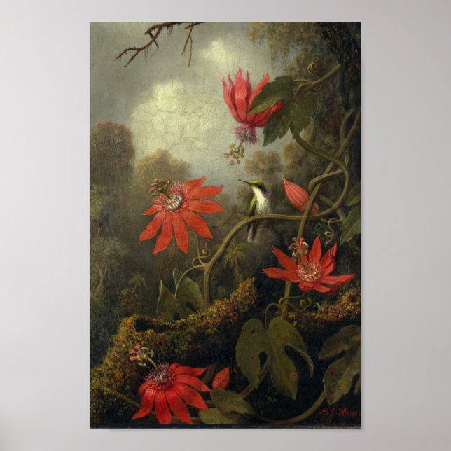 Affiche Illustration d'oiseaux vintages (Devant)