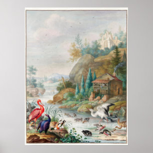 Affiche Illustration d'oiseaux vintages