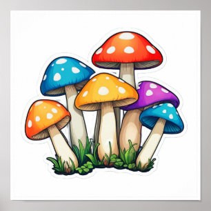 Affiche Illustration du champignon transparent