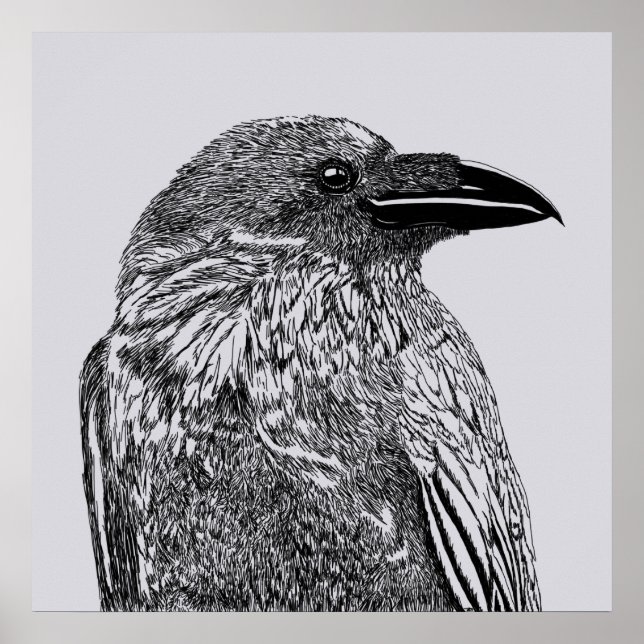 Affiche Illustration du corbeau (Devant)