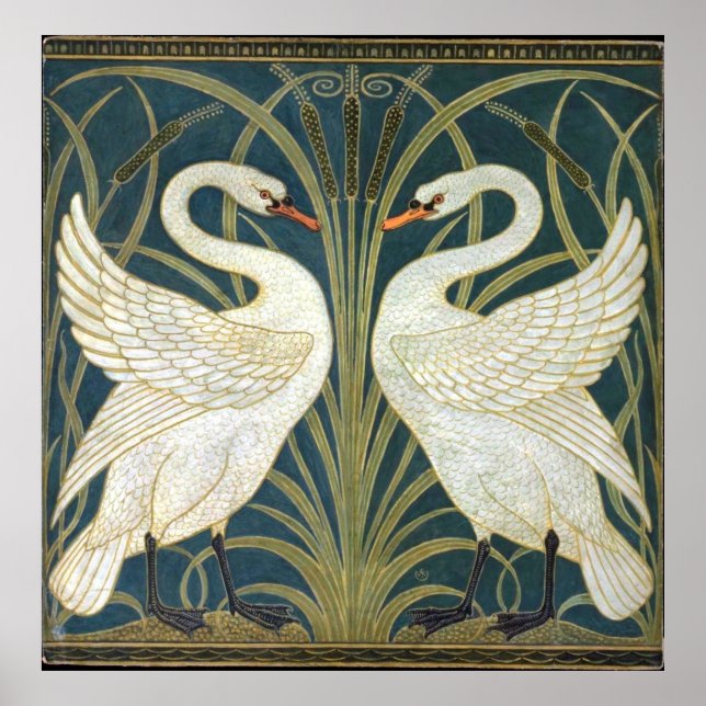 Affiche Illustration du fond d'écran Swan and Rush et Iris (Devant)