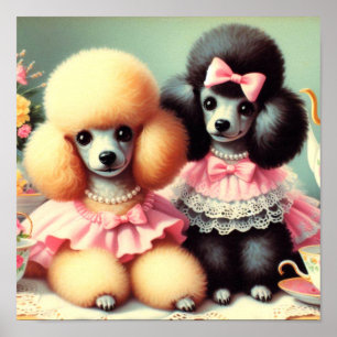Affiche Illustration du mignon caniche