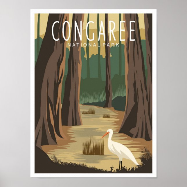 Affiche Illustration du parc national de Congaree en Carol (Devant)