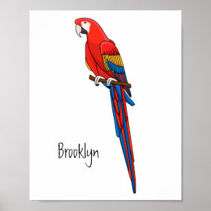 Affiche Illustration du perroquet de macaw Scarlet