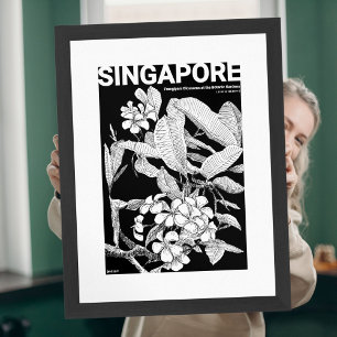 Affiche Illustration florale de blush de fleur sauvage boh