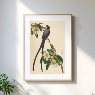Affiche Illustration florale vintage de l'oiseau à queue f