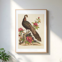 Illustration florale vintage du majestueux oiseau 