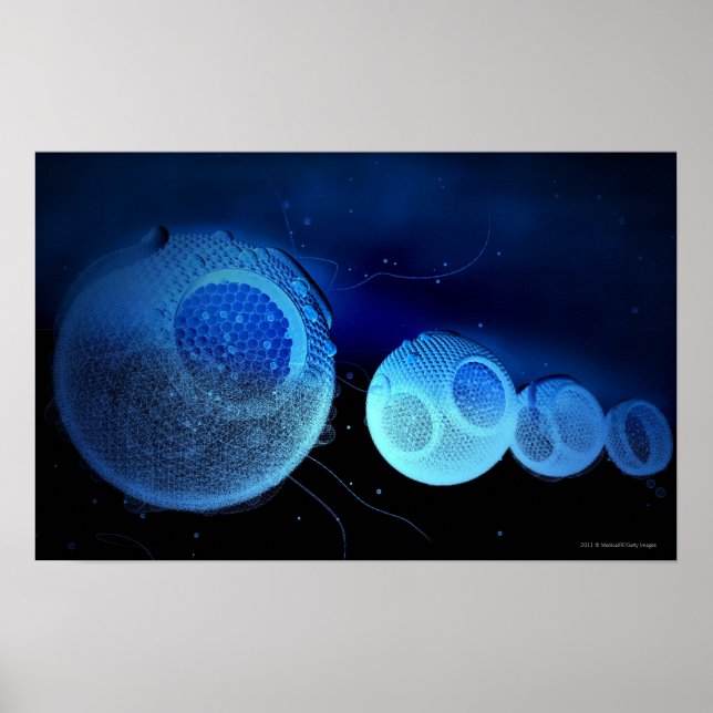 Affiche Illustration luminescente de HDL (Devant)