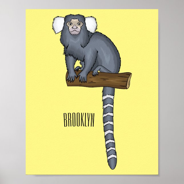 Affiche Illustration marmoset commune (Devant)