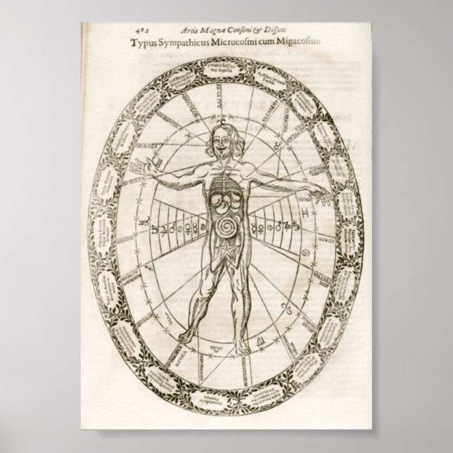 Affiche Illustration Microcosmos (Devant)