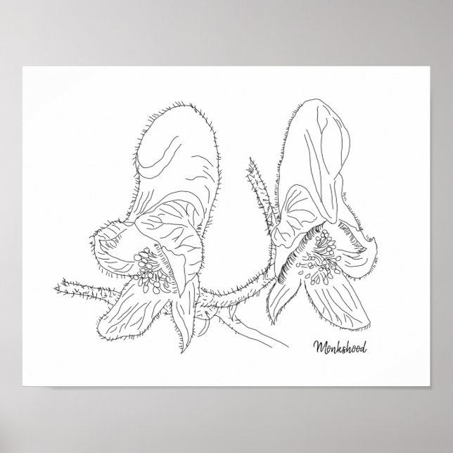 Affiche Illustration Monkshood (Devant)