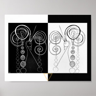 Affiche Illustration Peacock Yin et Yang DUET