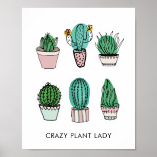 Affiche Illustration personnalisée de cactées succulentes
