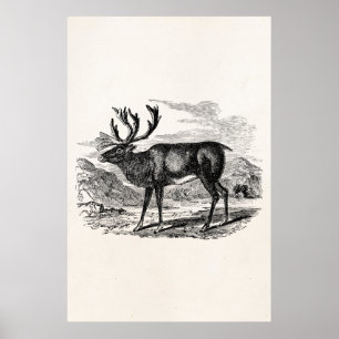 Affiche Illustration personnalisée des cerfs de rennes vin