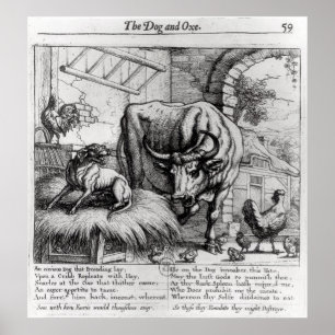 Affiche Illustration pour 'Le chien et le boeuf'